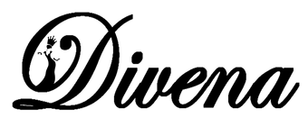 Dudani Retail logo