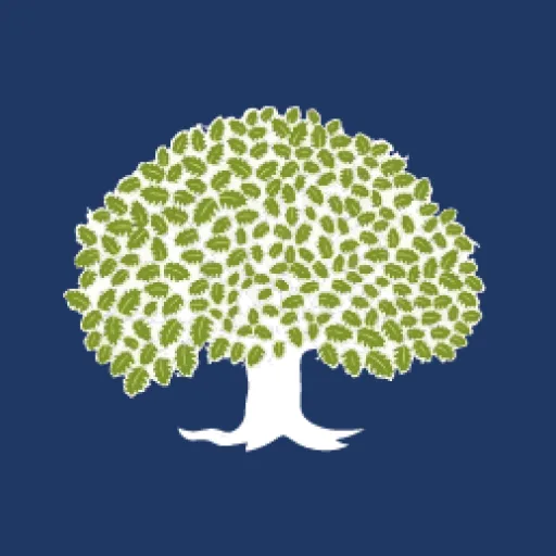 WhiteOak Capital Balanced Hybrid Fund logo